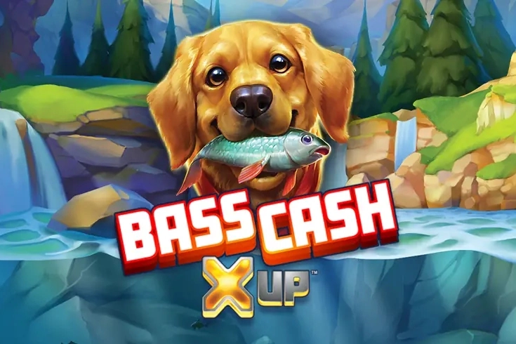 Bass Cash X Up
